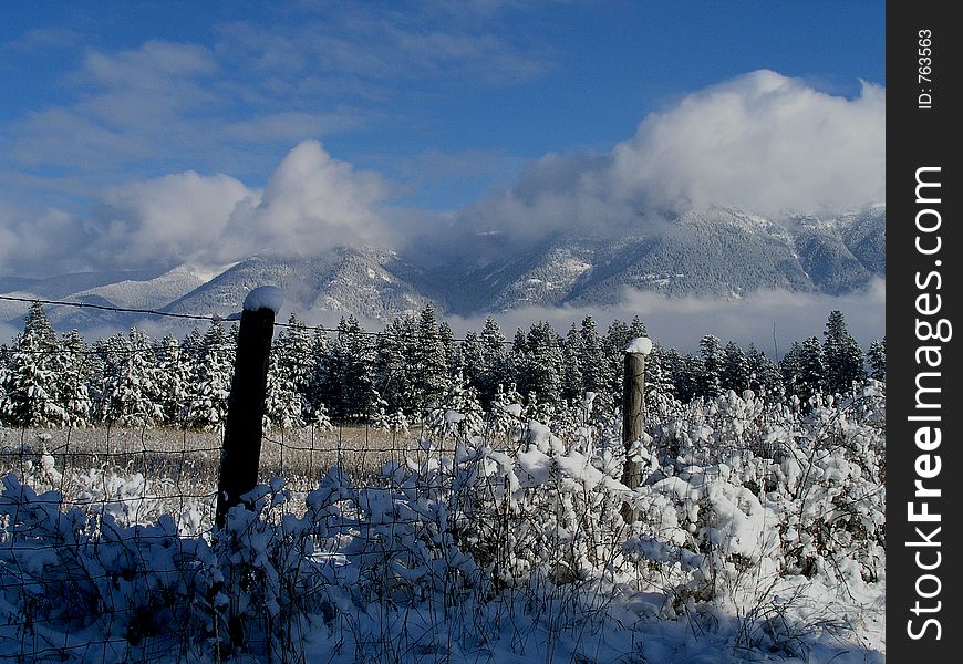This picture was taken in the Flathead Valley of NW Montana just after a light snowfall had occurred and the clouds were lifting to show the Columbia Mountain range. This picture was taken in the Flathead Valley of NW Montana just after a light snowfall had occurred and the clouds were lifting to show the Columbia Mountain range.