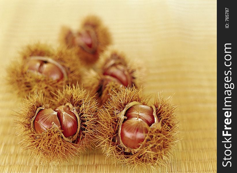 Scenery of Autumn, chestnuts in shell