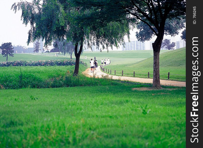 Scene of Korean park