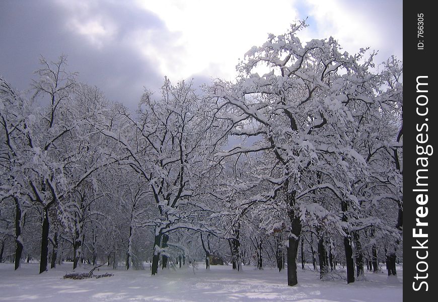Winter In The Park II