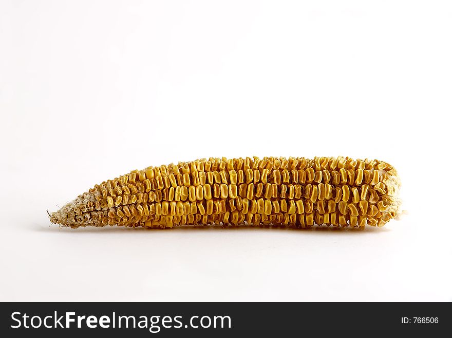 Corncob