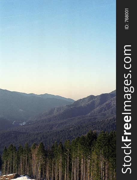 The clear cut end of a forest in the mountains, with a pale yellow to light blue sky. 35mm film scan. The clear cut end of a forest in the mountains, with a pale yellow to light blue sky. 35mm film scan.