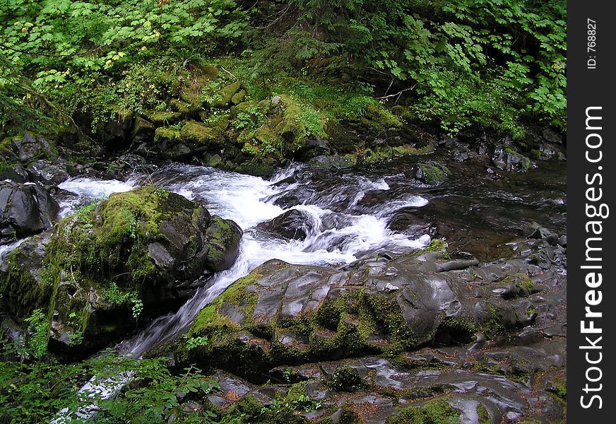 Cacades in Olympic National Park. Cacades in Olympic National Park