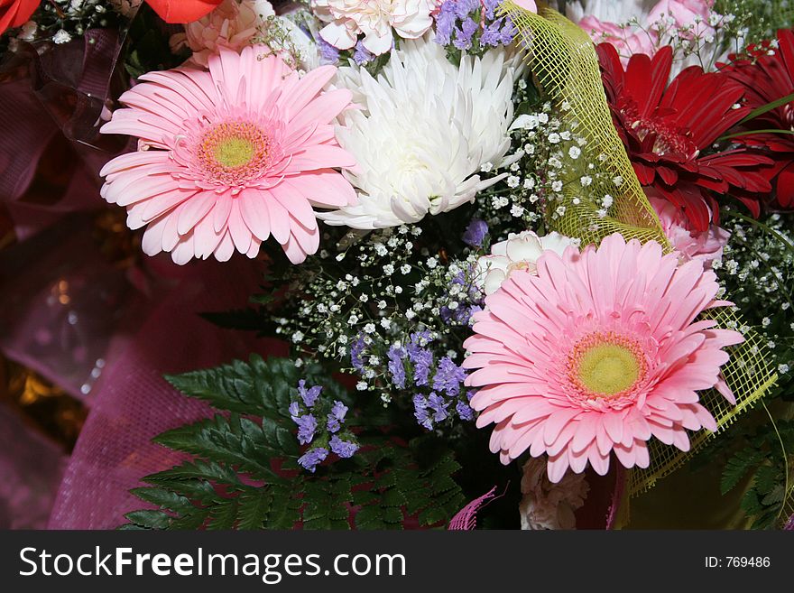 Two gerberas on bouquet. Two gerberas on bouquet