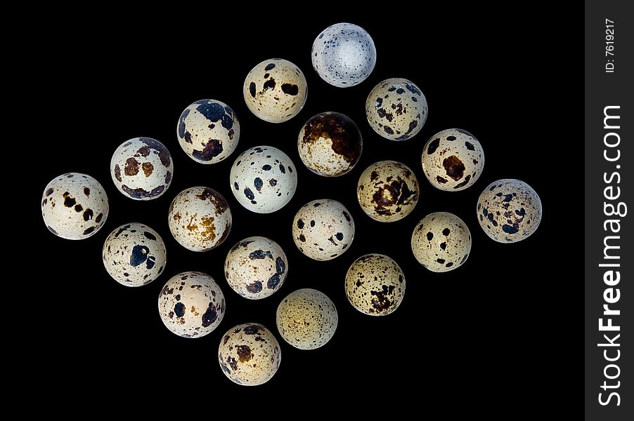 Quail eggs in the form of a matrix as a life symbol isolated on black