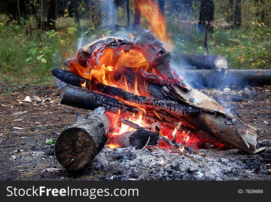 Bonfire in the russian forest. Bonfire in the russian forest