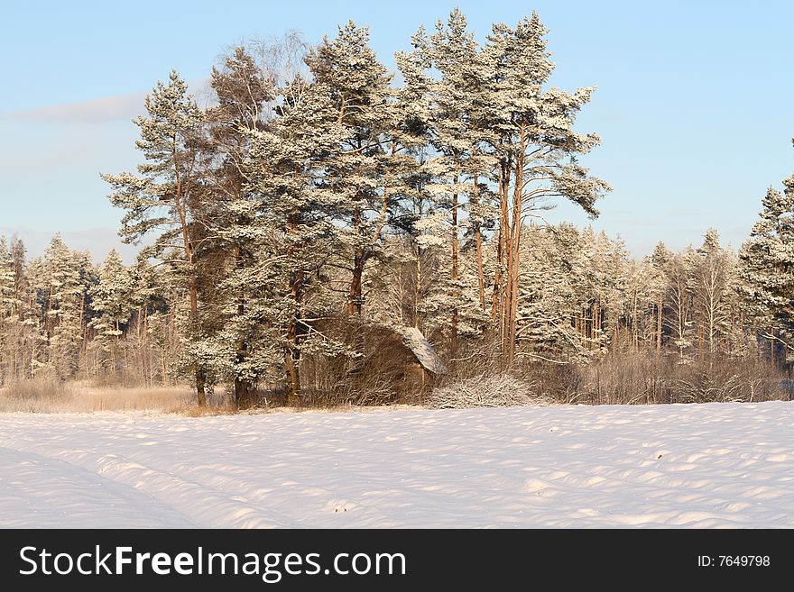 Home in the forest,winter