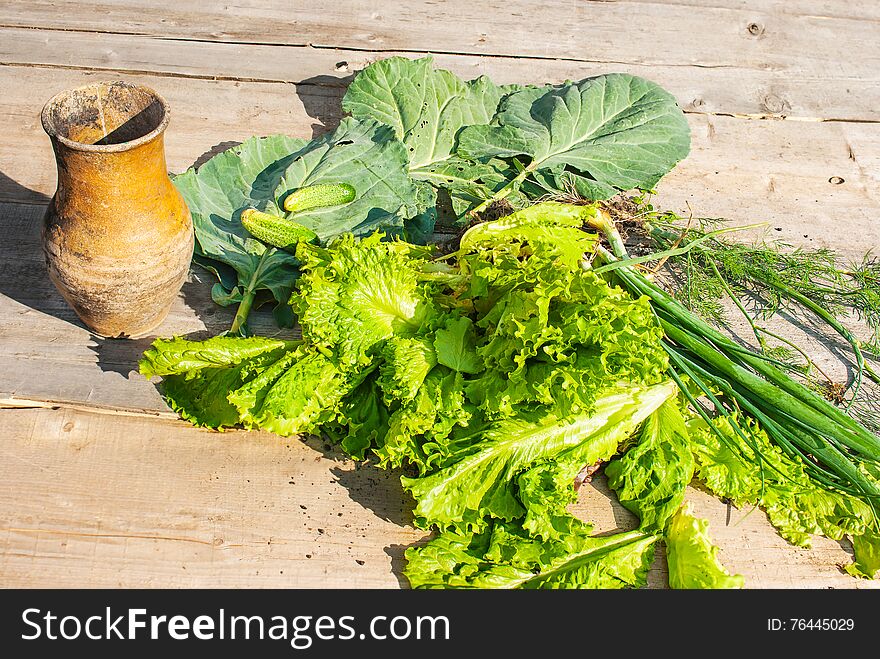 Cabbage, Onions, Cucumbers And Vintage Jug On The Wooden Table