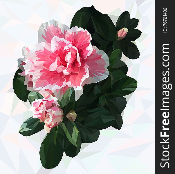 Azalea. Polygonal Flower.