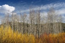 Grand Tetons National Park Stock Photo Grand Tetons National Park Stock Photo