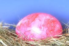 Springtime - Eastern Eggs Royalty Free Stock Photos Springtime - Eastern Eggs Royalty Free Stock Photos