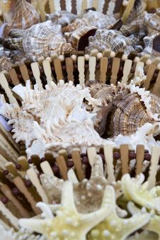 Seashells Being Sold By The Sea Side Royalty Free Stock Images Seashells Being Sold By The Sea Side Royalty Free Stock Images
