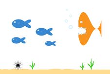 Sea Creatures Stock Image Sea Creatures Stock Image