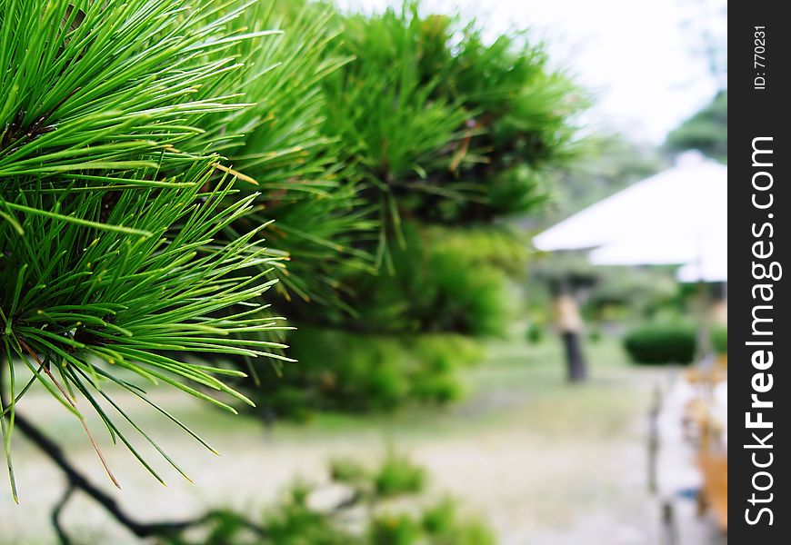 Japan Hiroshima Shukkeien Gardens