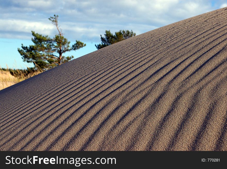 Sand dune on a beach