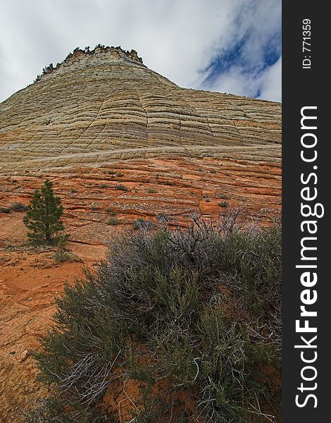 Checkerboard Mesa in Zion National Park, Utah. Checkerboard Mesa in Zion National Park, Utah