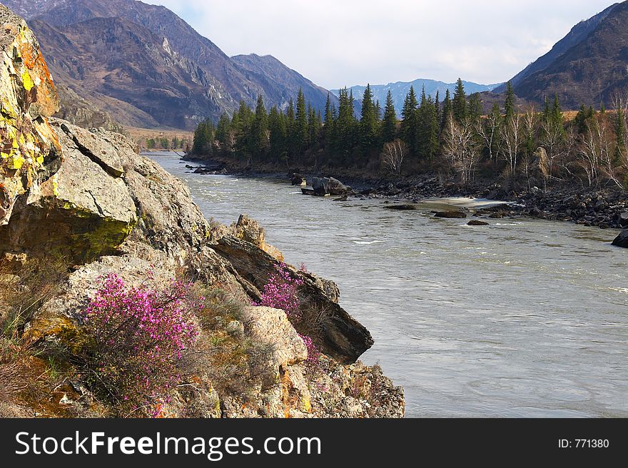 River in the mountains. Russia, Altay.