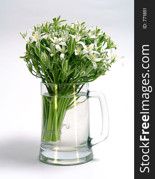 Bouquet from white colours. Bouquet from white colours