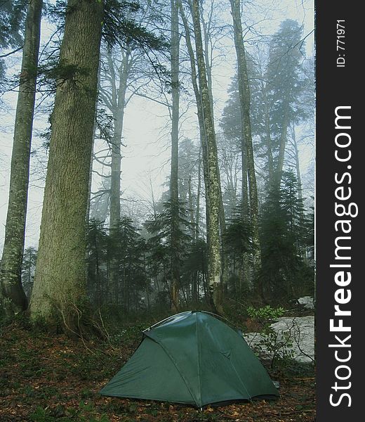 Camp on the forests in Caucasus