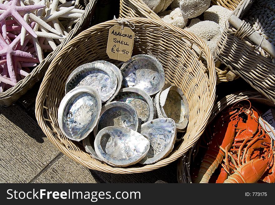 Seashells Being Sold By The Sea Side