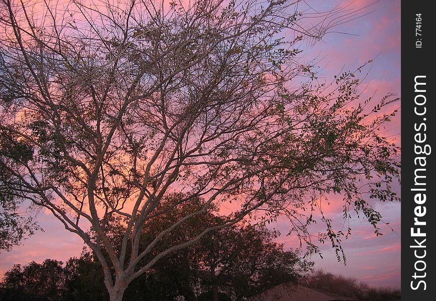 A typical fall sunset along the Los Angeles Coast. A typical fall sunset along the Los Angeles Coast.