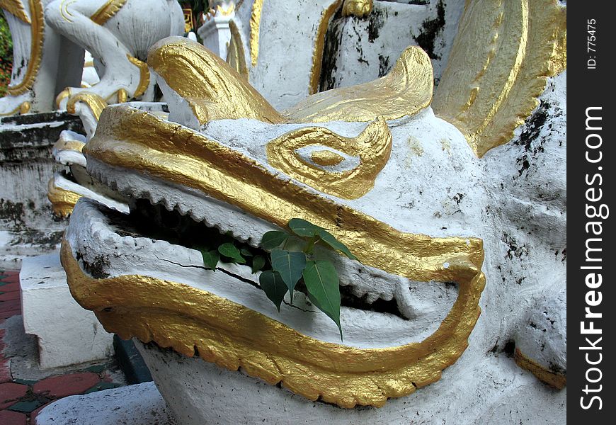 A plant coming out the mouth of a dragon. Chiang Mai, Thailand. A plant coming out the mouth of a dragon. Chiang Mai, Thailand