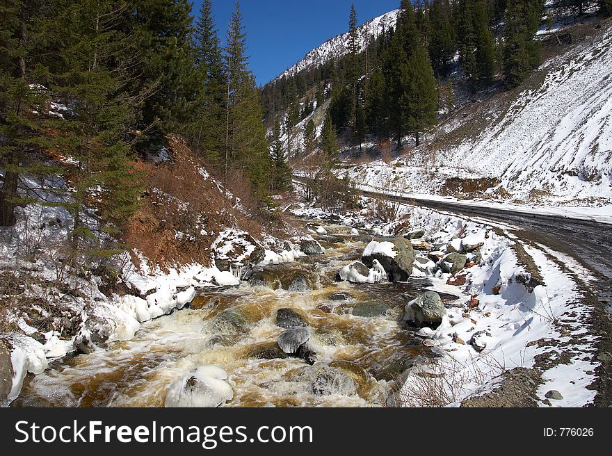 Red river, white ice and green firs. Altay.