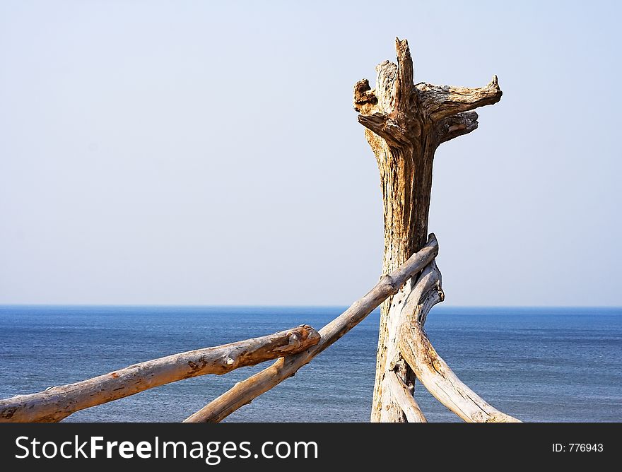 Construction made from driftwoods