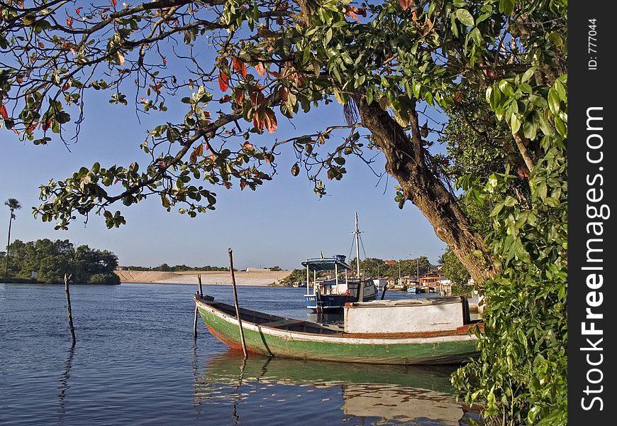 Boat of fishes between the trees - Barreirinhas - MaranhÃ£o - Brazil. Boat of fishes between the trees - Barreirinhas - MaranhÃ£o - Brazil