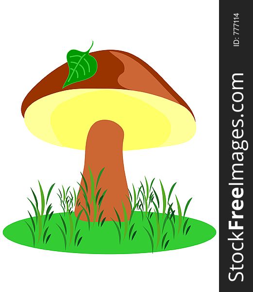 Mushroom with brown cap. Mushroom with brown cap.