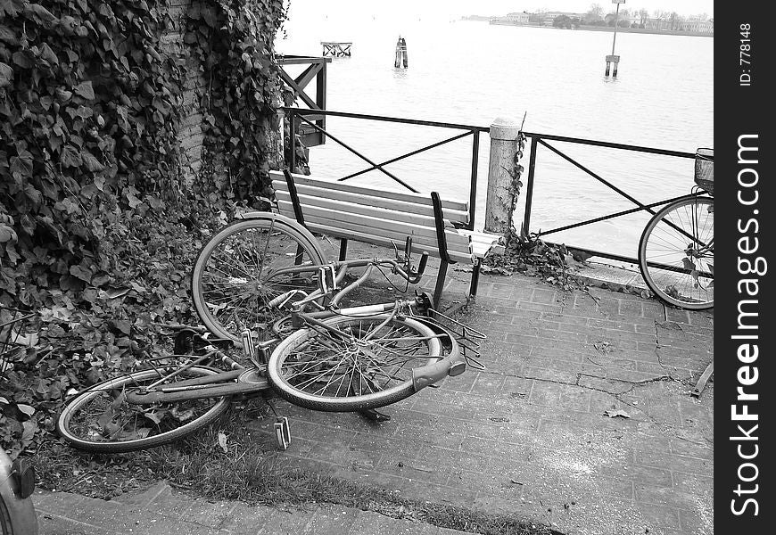 Bicycles in love. Bicycles in love