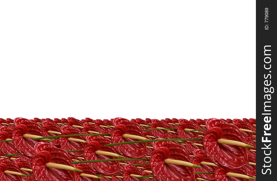 Red anthurium river