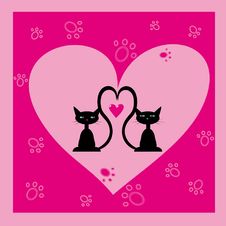 Two Black Cats Stock Photography