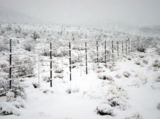 Desert Snowfall Stock Images