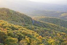 Autumn Mountain Tree Tops Stock Images