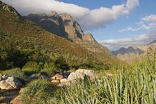 Cape Mountains With Stream And Reeds Royalty Free Stock Image Cape Mountains With Stream And Reeds Royalty Free Stock Image