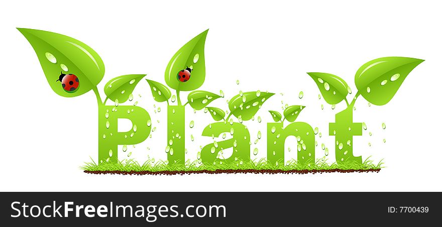 Plant concept