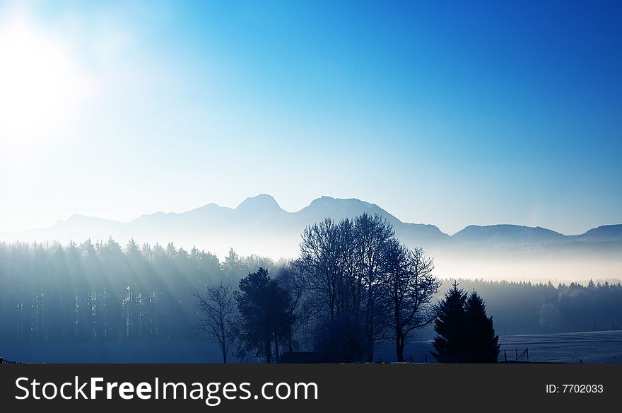 Winter sunny and foggy scenery. Winter sunny and foggy scenery