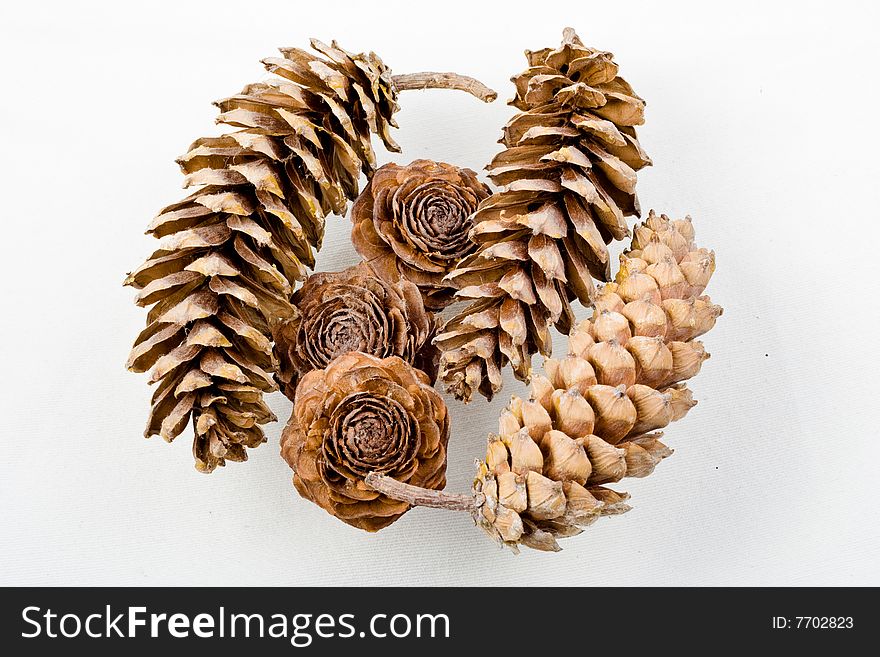 Collection of pine cones isolated on white surface. Collection of pine cones isolated on white surface