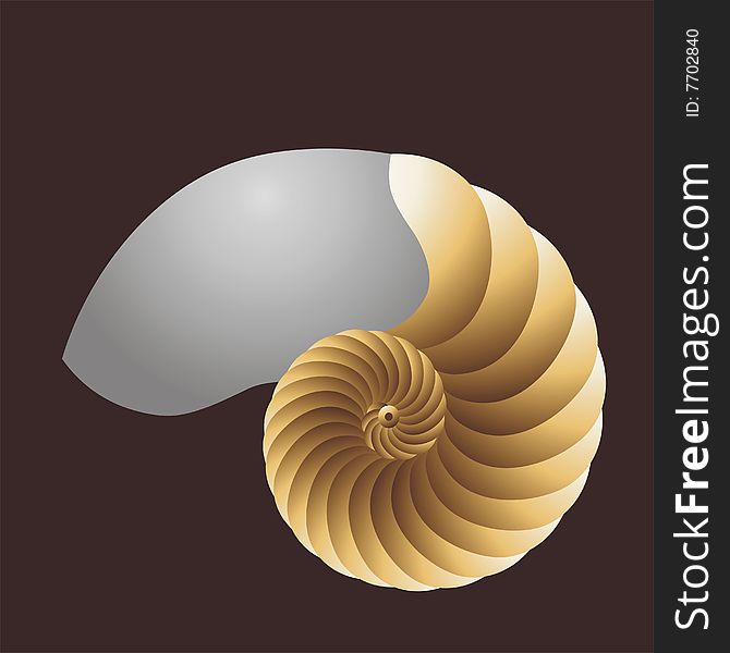 The pearly nautilus of description at brown background.