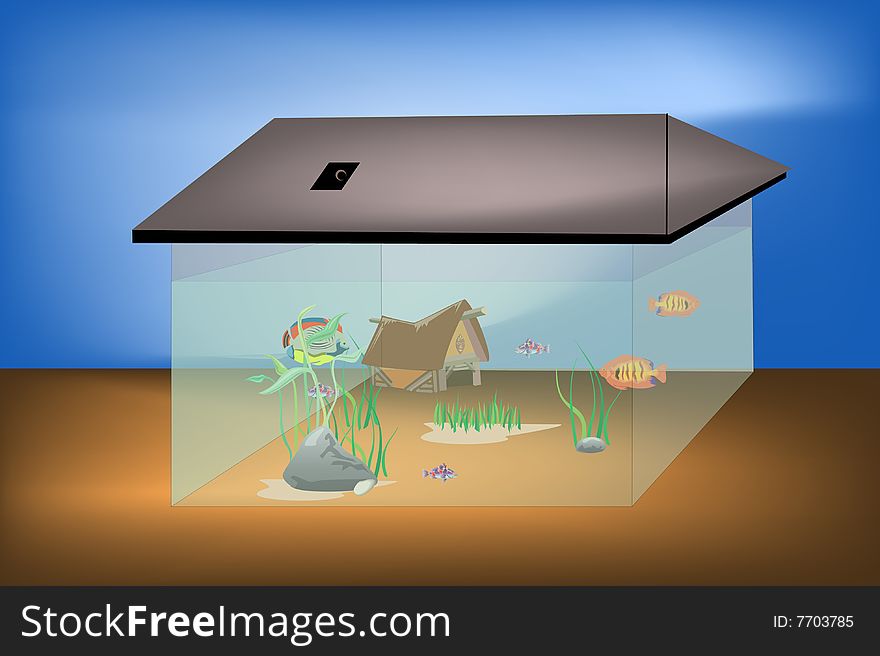 Aquarium life presentation in this graphic illustration.