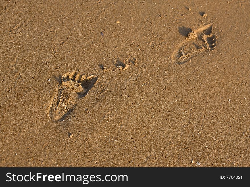 Texture series: footstep of baby on wet sea sand