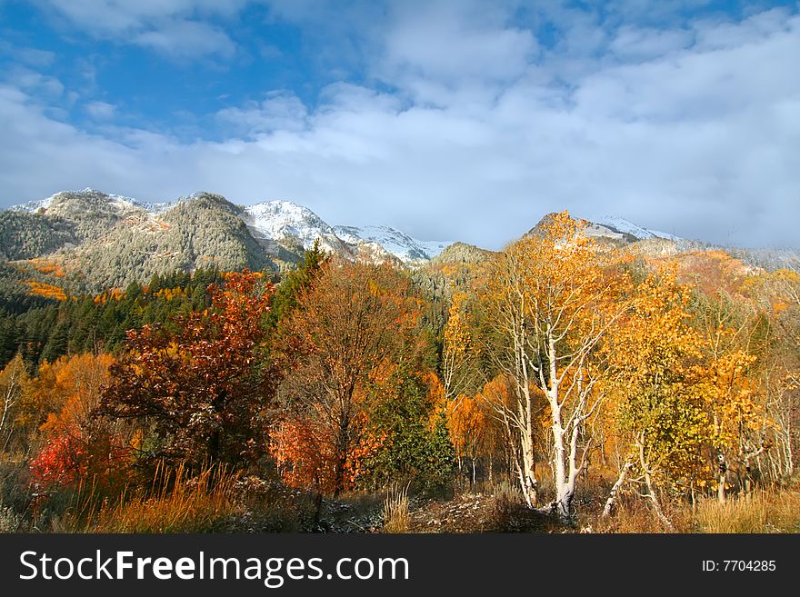 Fall colors on a high mountain meadow with blue sky and clouds