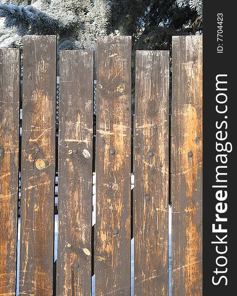 Old wooden fence and tree