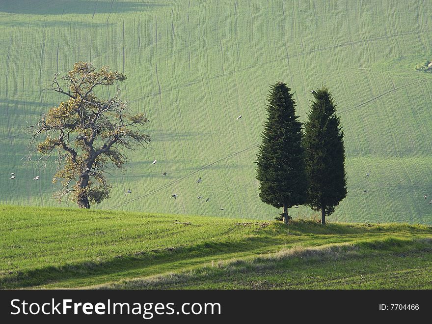 A close landscape of the Italian hills