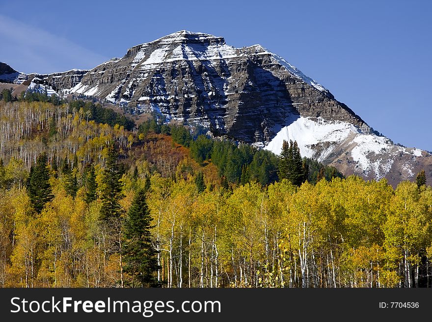 Fall colors on a high mountain meadow with blue sky and clouds