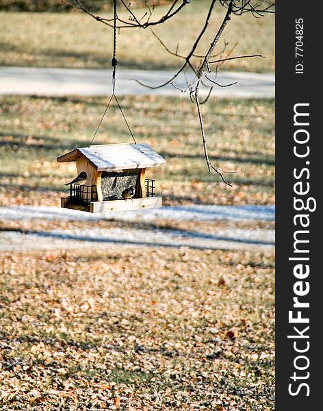 A hanging bird feeder visited by hungry featherd creatures.