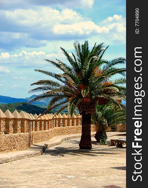 A palm tree on an old castle in mallorca spain