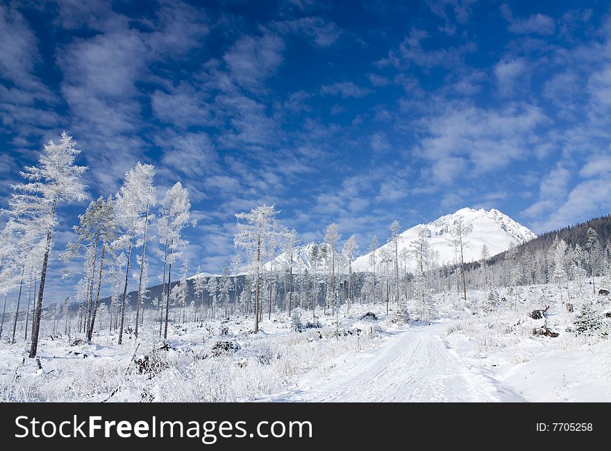 Snowy winter landsape, Slovak republic. Snowy winter landsape, Slovak republic