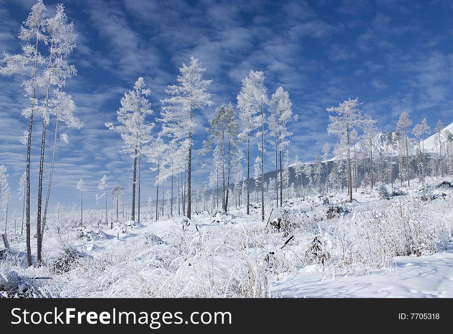 Snowy winter landsape, Slovak republic. Snowy winter landsape, Slovak republic